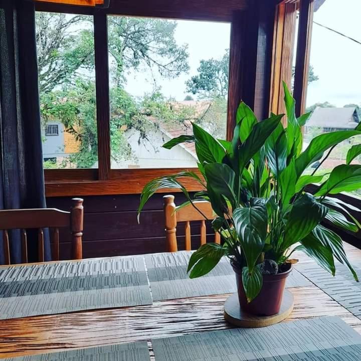 Refugio Jardim Mariana Hotel Канела Екстериор снимка